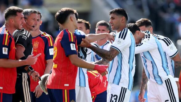 لاعب الأرجنتين لياندرو باريديس في نهائي كأس العالم